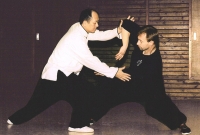 Yang Targos Kung Fu Taiji